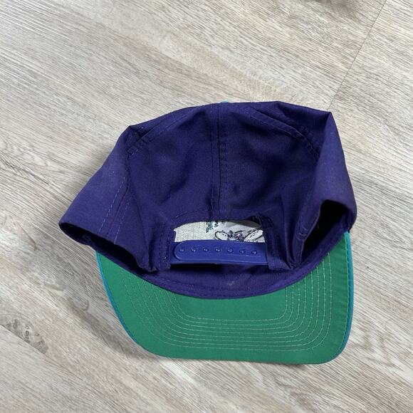 Vintage Charlotte Hornets Hat Snapback NBA Basketball‎ AJD Purple Green Cap - Picture 6 of 8